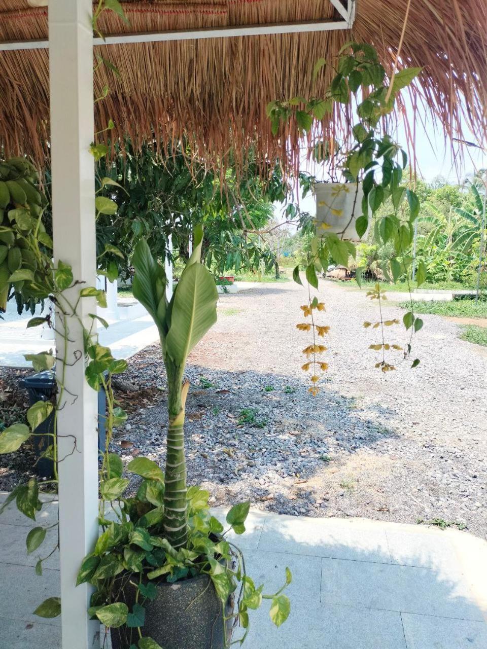 Primprey Second Home Battambang Eksteriør bilde